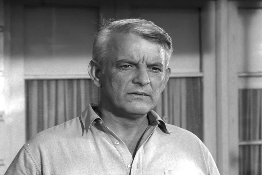 Denver Pyle Net Worth