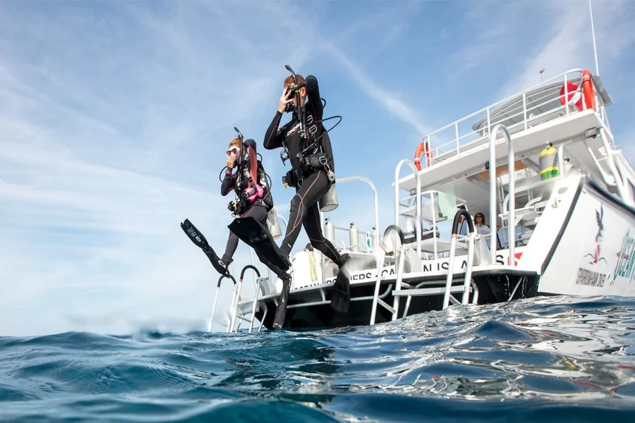 Boat, Shore, and Night Dives for Certified Scuba Divers