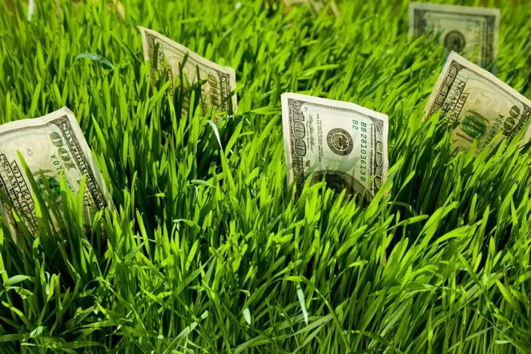 Patch Of Land Drama And Where To Invest Your Cash Instead