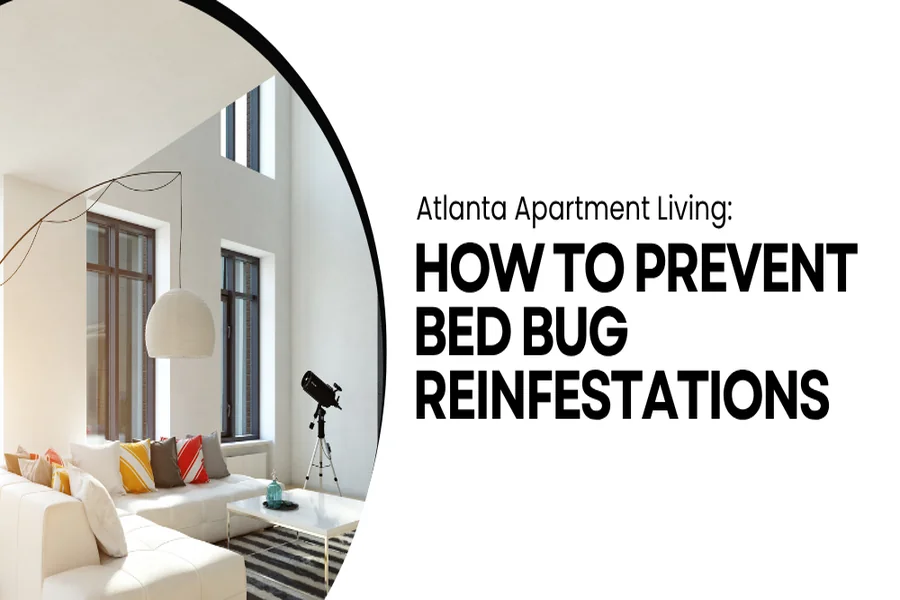 Atlanta Apartment Living: How to Prevent Bed Bug Reinfestations