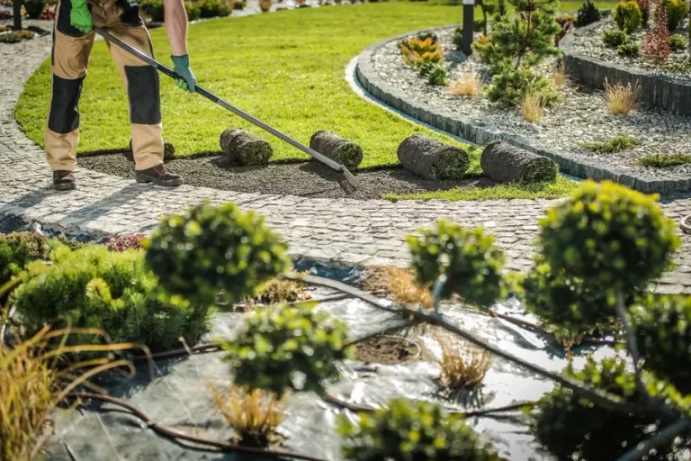 From Fresh Plants to Stronger Lawns, a Smarter Way to Build a Beautiful Yard