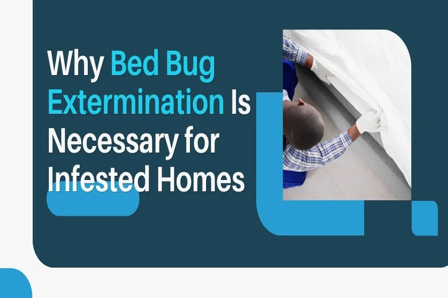 Bug Extermination